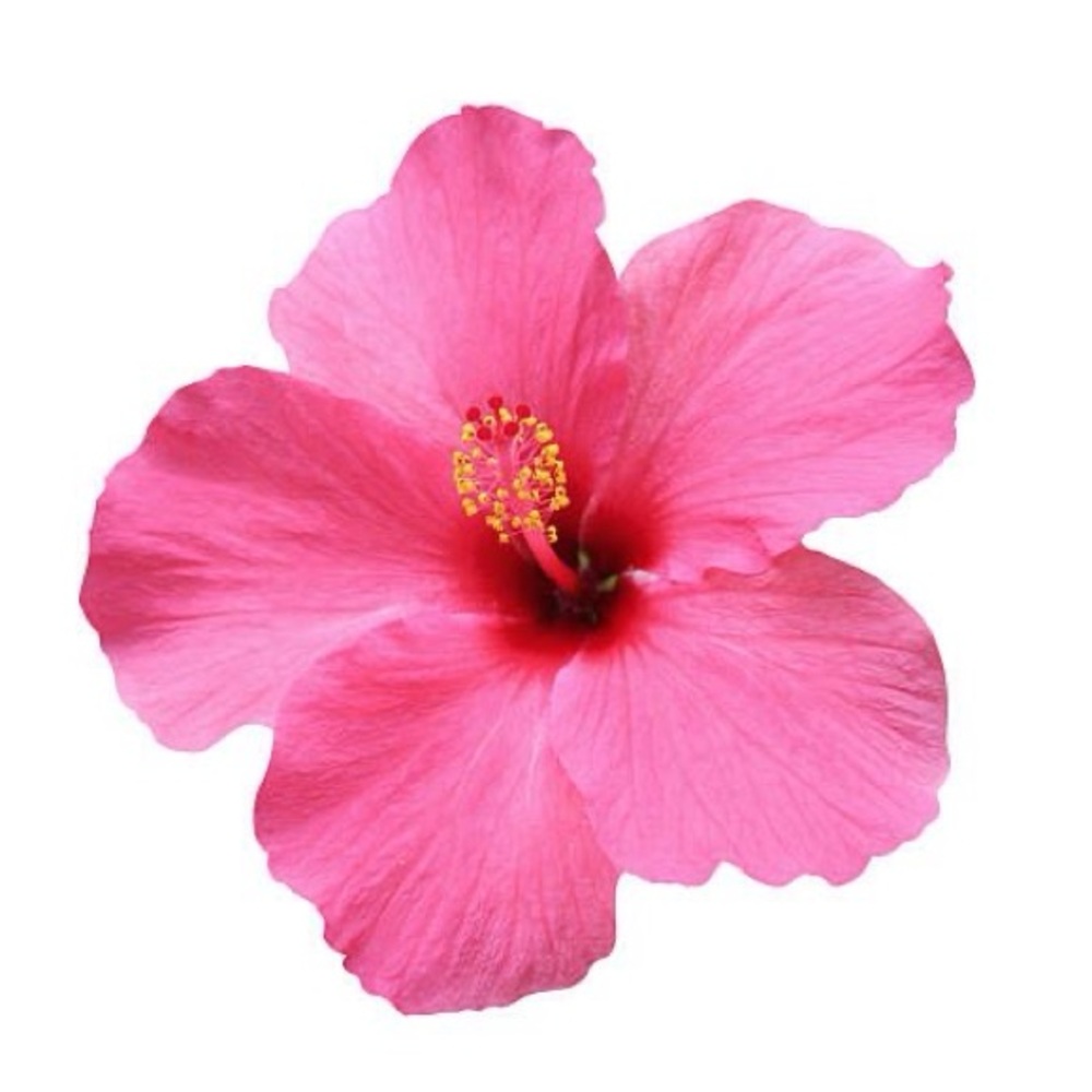 Meet your Posher, Emme